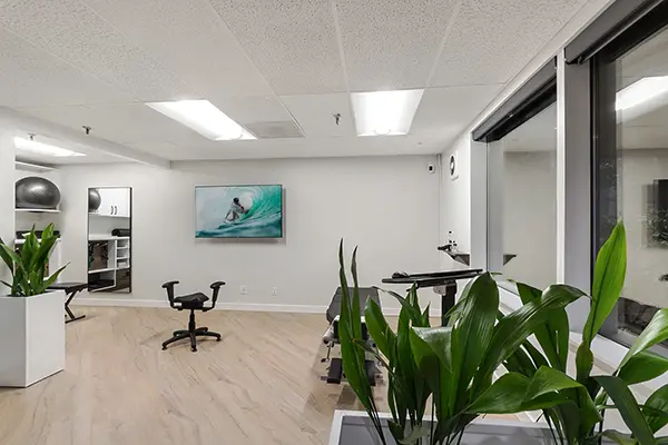 Chiropractic Renton WA Open Office Plant